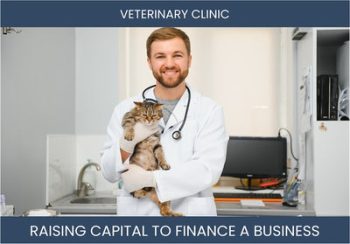 The Complete Guide To Veterinary Clinic Business Financing And Raising Capital