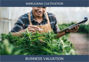 Valuing Your Marijuana Cultivation Business: Considerations and Methods