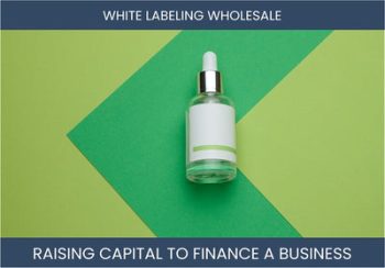 The Complete Guide To White Labeling Business Financing And Raising Capital
