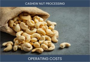 Cashew Nut Processing Business Operating Costs