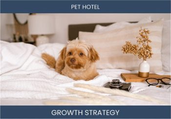 Boost Pet Hotel Sales: Profitable Strategies
