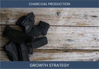 Boost Your Charcoal Production Business Sales & Profitability