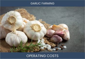 Garlic Farming Operating Costs