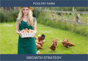 Poultry Farm Sales & Profit Strategies | Boost Your Income