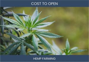 How Much Does It Cost To Start Hemp Farm