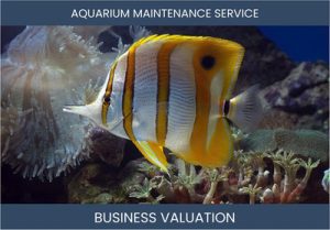 Valuing Your Aquarium Maintenance Service Business: Key Considerations and Methods