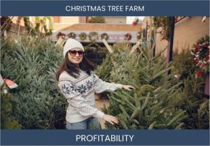 All About Christmas Tree Farms - What You Need to Know