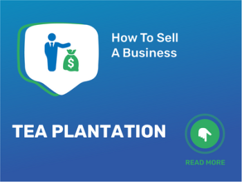 How To Sell Tea Plantation Business in 9 Steps: Checklist