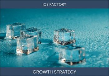 Ice Factory Sales Strategies for Higher Profitability